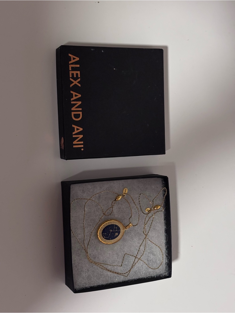 Alex & Ani adjustable Scorpio zodiac charm necklace